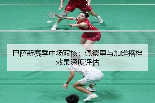 ba-sa-xin-sai-ji-zhong-chang-shuang-he-pei-de-li-yu-jia-wei-da-dang-xiao-guo-shen-du-ping-gu-2-471.jpg