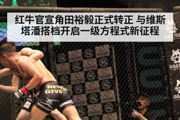 红牛官宣角田裕毅正式转正 与维斯塔潘搭档开启一级方程式新征程